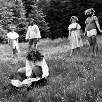 img20260216 14394049