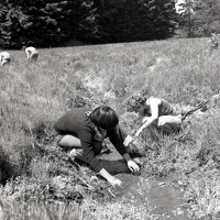 img20251221 14564867