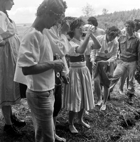 img20260216 14263387