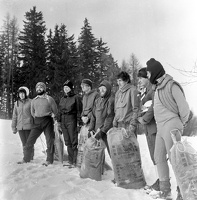 img20260220 23024380